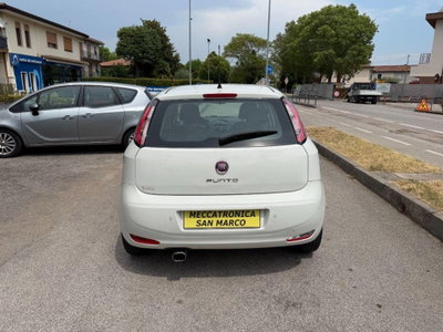 Fiat Punto 1.2 8V 5 porte Lounge (5)