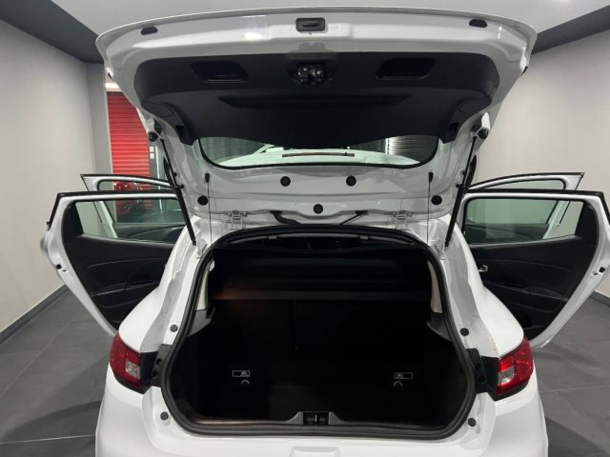 Renault Clio dCi 8V 75 CV Start&Stop 5 porte Energy Duel (11)
