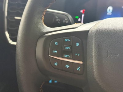 Ford Ranger Pick-up 2.0 ecoblue doppia cabina Wildtrak X awd 205cv auto (19)