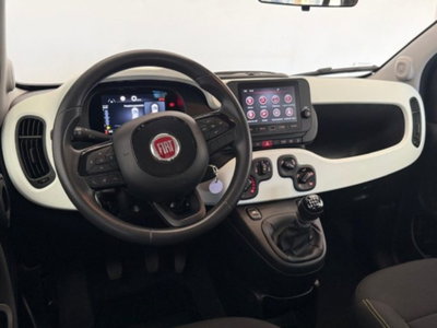Fiat Panda Cross 1.0 firefly hybrid Cross s&s 70cv 5p.ti (9)