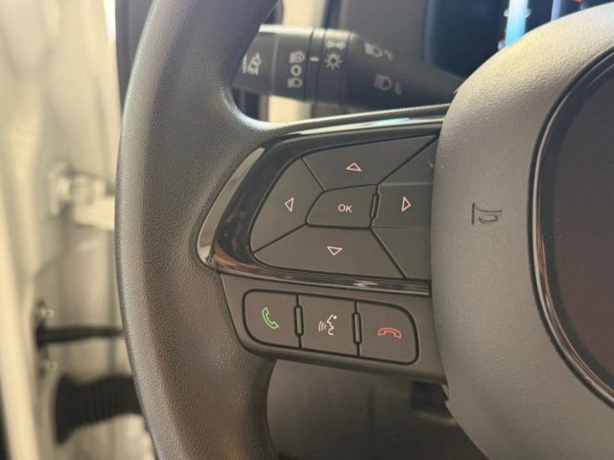 Fiat Panda Cross 1.0 firefly hybrid Cross s&s 70cv 5p.ti (12)