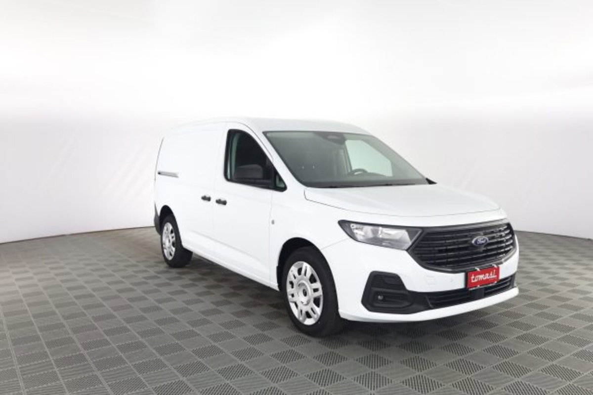 Ford Transit Connect  2.0 diesel 102cv L2H1 Trend (2)