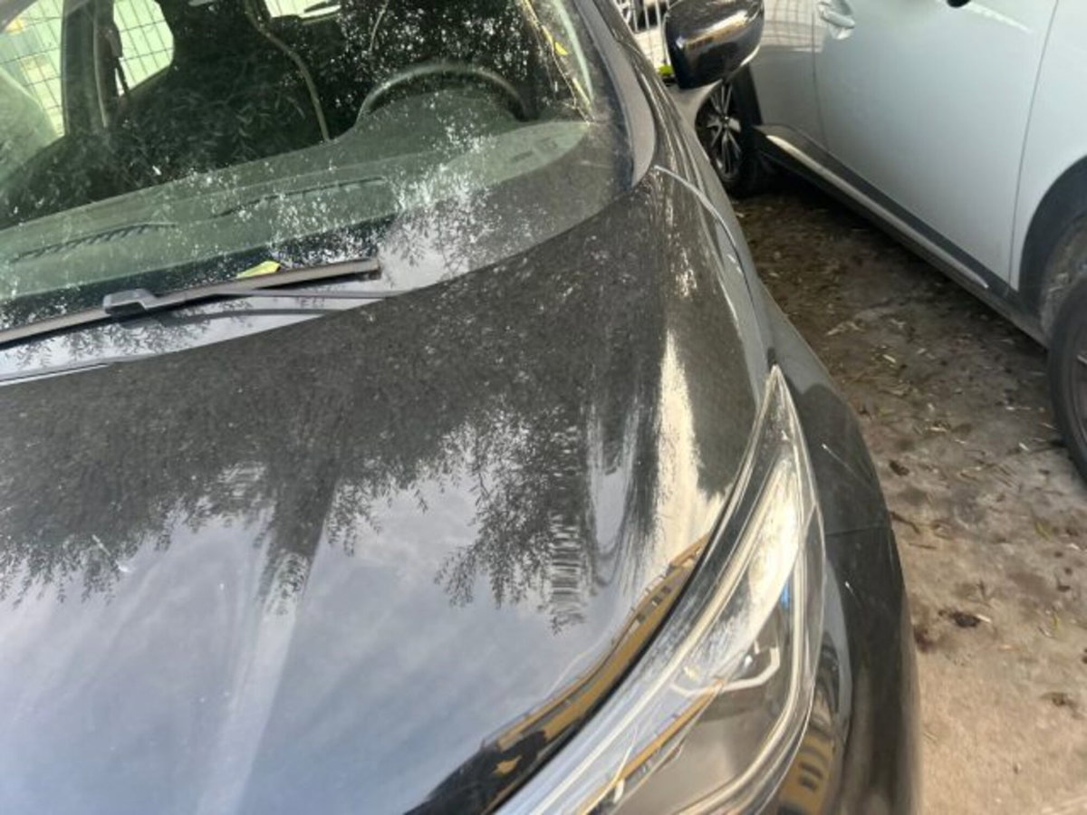 Renault Zoe Intens Q90 Flex (4)
