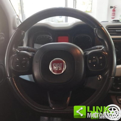 Fiat Panda Cross 1.0 firefly hybrid Cross s&s 70cv 5p.ti (17)