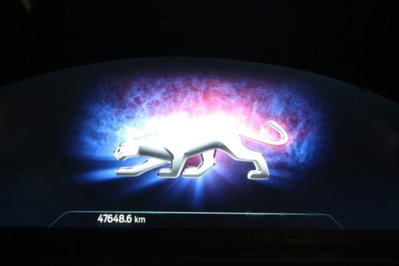 Ford Puma 1.0 EcoBoost Hybrid 125 CV S&S aut. ST-Line X (8)