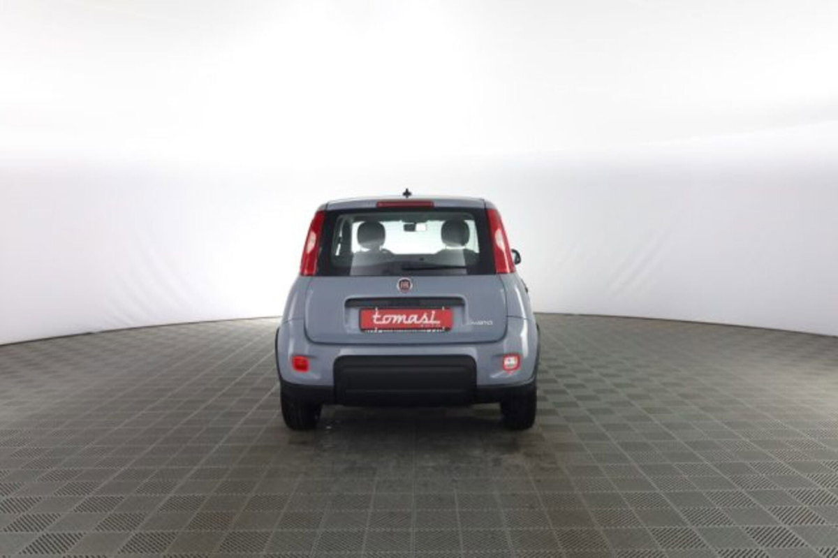 Fiat Panda 1.0 FireFly S&S Hybrid City Cross (5)