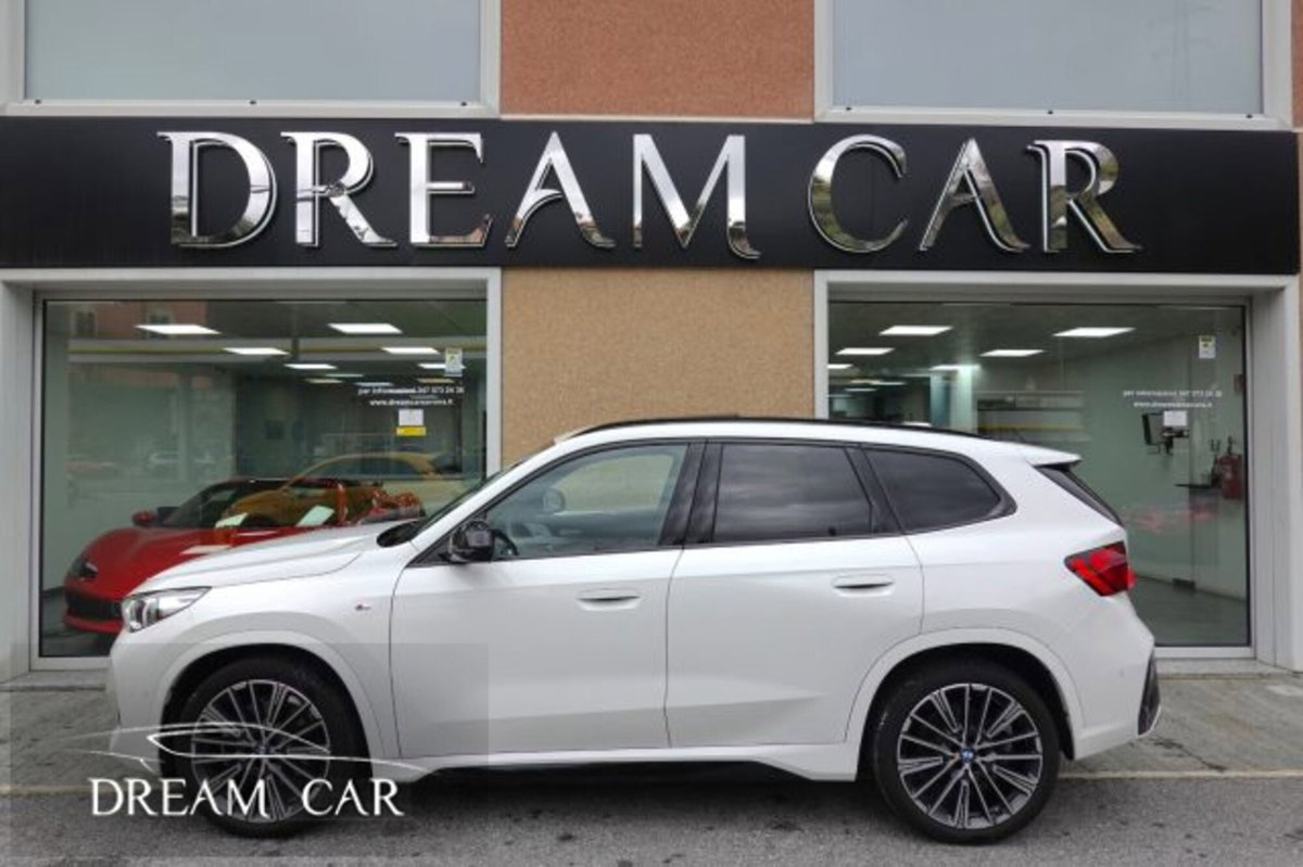 BMW X1 xDrive 23d Msport (2)