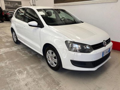 Volkswagen Polo 1.2 5 porte United (5)