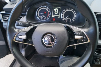 Skoda Kamiq 1.0 TSI 110 CV DSG Ambition (11)