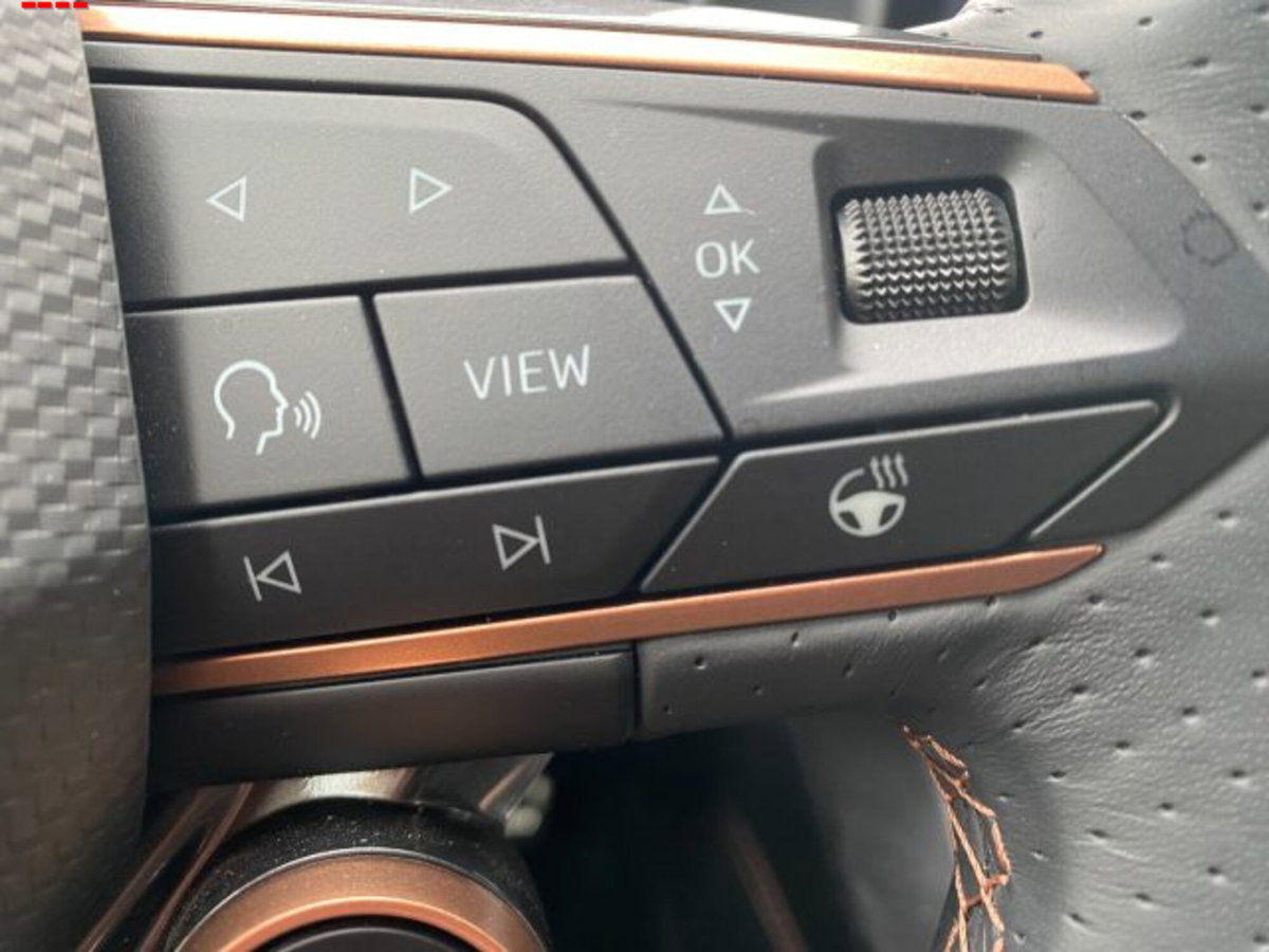 Cupra Leon Leon 2.0 tdi 150cv dsg (12)