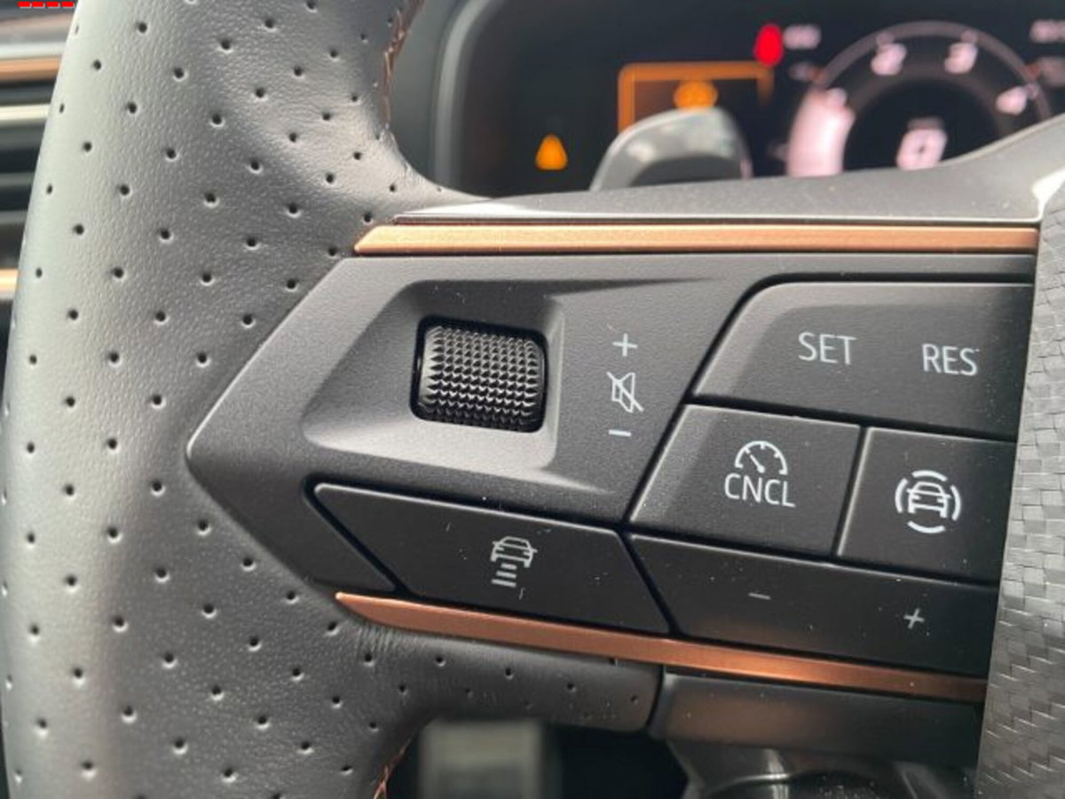 Cupra Leon Leon 2.0 tdi 150cv dsg (13)