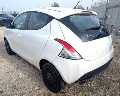 Lancia Ypsilon 1.2 69 CV 5 porte GPL Ecochic Elefantino (4)