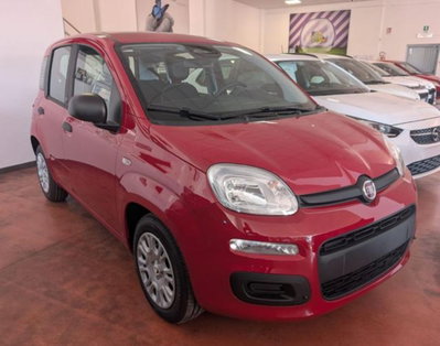 Fiat Panda 1.0 firefly hybrid s&s 70cv (2)