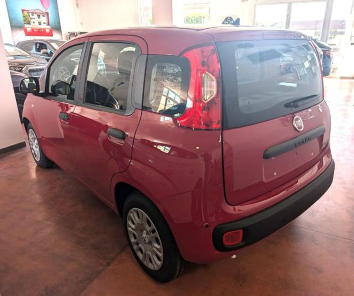 Fiat Panda 1.0 firefly hybrid s&s 70cv (3)