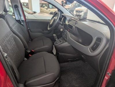 Fiat Panda 1.0 firefly hybrid s&s 70cv (4)