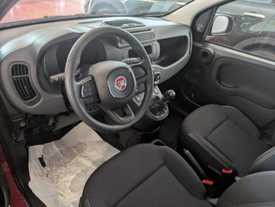 Fiat Panda 1.0 firefly hybrid s&s 70cv (5)