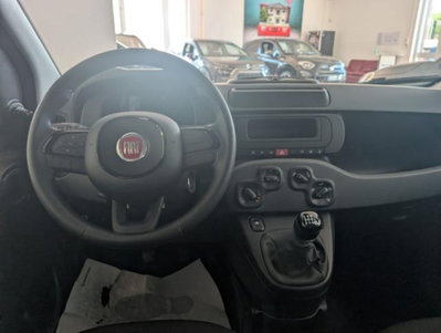 Fiat Panda 1.0 firefly hybrid s&s 70cv (6)