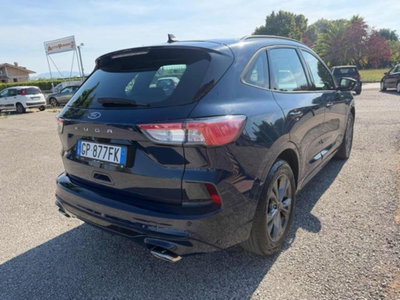 Ford Kuga 2.0 EcoBlue 120 CV aut. 2WD ST-Line X (4)