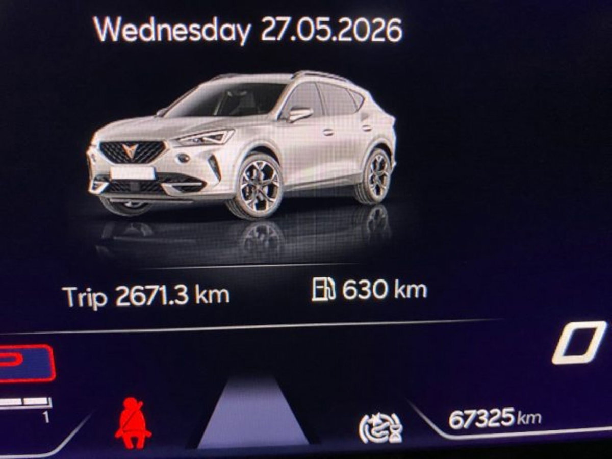 Cupra Formentor Formentor 1.5 TSI (7)