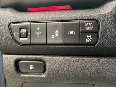 Kia Niro 1.6 GDi DCT HEV Energy (19)