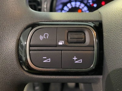 Citroen C3 PureTech 110 S&S Elle (15)