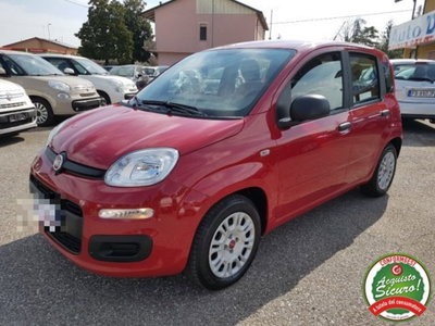 Fiat Panda 1.2 Lounge usata
