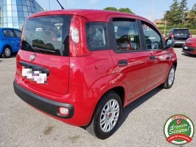 Fiat Panda 1.2 Lounge (3)