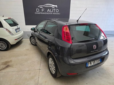 Fiat Punto Evo 1.2 5 porte S&S Active (3)