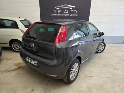 Fiat Punto Evo 1.2 5 porte S&S Active (4)