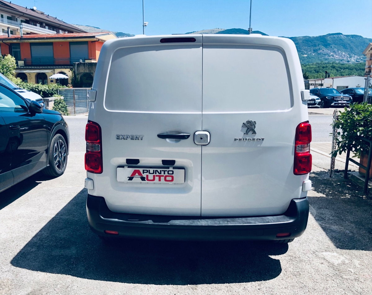 Peugeot Expert Furgone BlueHDi 120 S&S PL-TN Furgone Premium Standard (9)