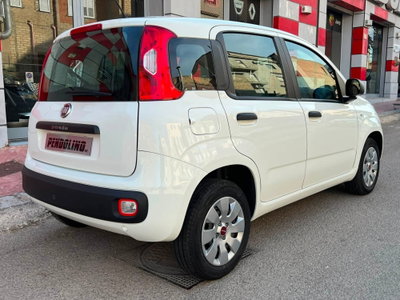 Fiat Panda 1.2 Easy (4)