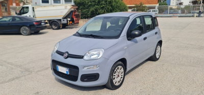 Fiat Panda 1.2 Easy usata