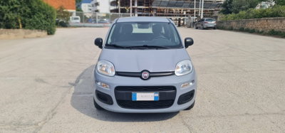Fiat Panda 1.2 Easy (4)