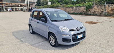 Fiat Panda 1.2 Easy (5)