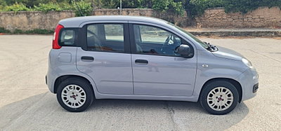 Fiat Panda 1.2 Easy (6)
