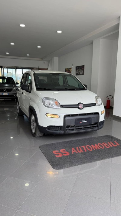 Fiat Panda 1.0 FireFly S&S Hybrid usata
