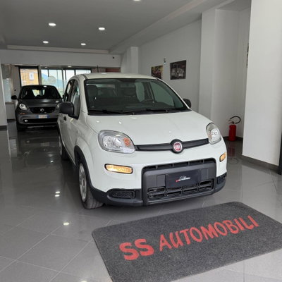 Fiat Panda 1.0 FireFly S&S Hybrid (2)