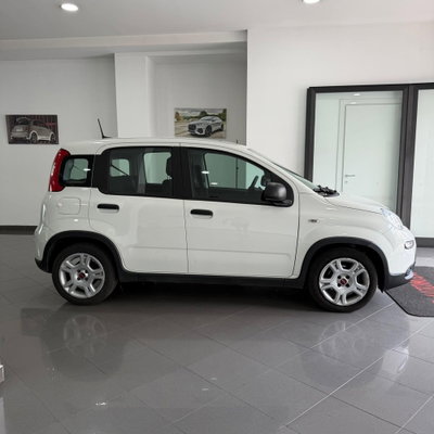Fiat Panda 1.0 FireFly S&S Hybrid (5)