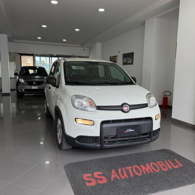 Fiat Panda 1.0 FireFly S&S Hybrid (7)