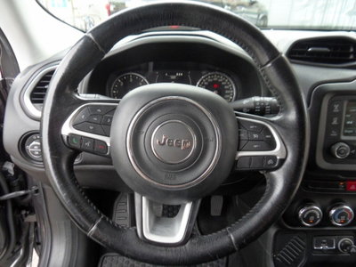Jeep Renegade 1.6 Mjt 120 CV Longitude (11)