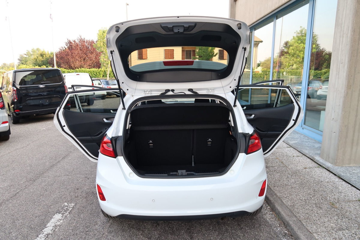 Ford Fiesta 1.0 Ecoboost Hybrid 125 CV 5 porte Titanium (11)