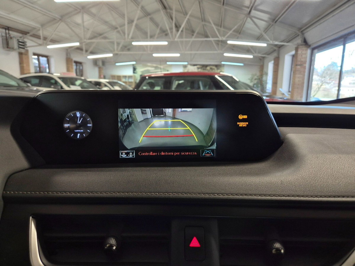 Lexus UX Hybrid Business (13)