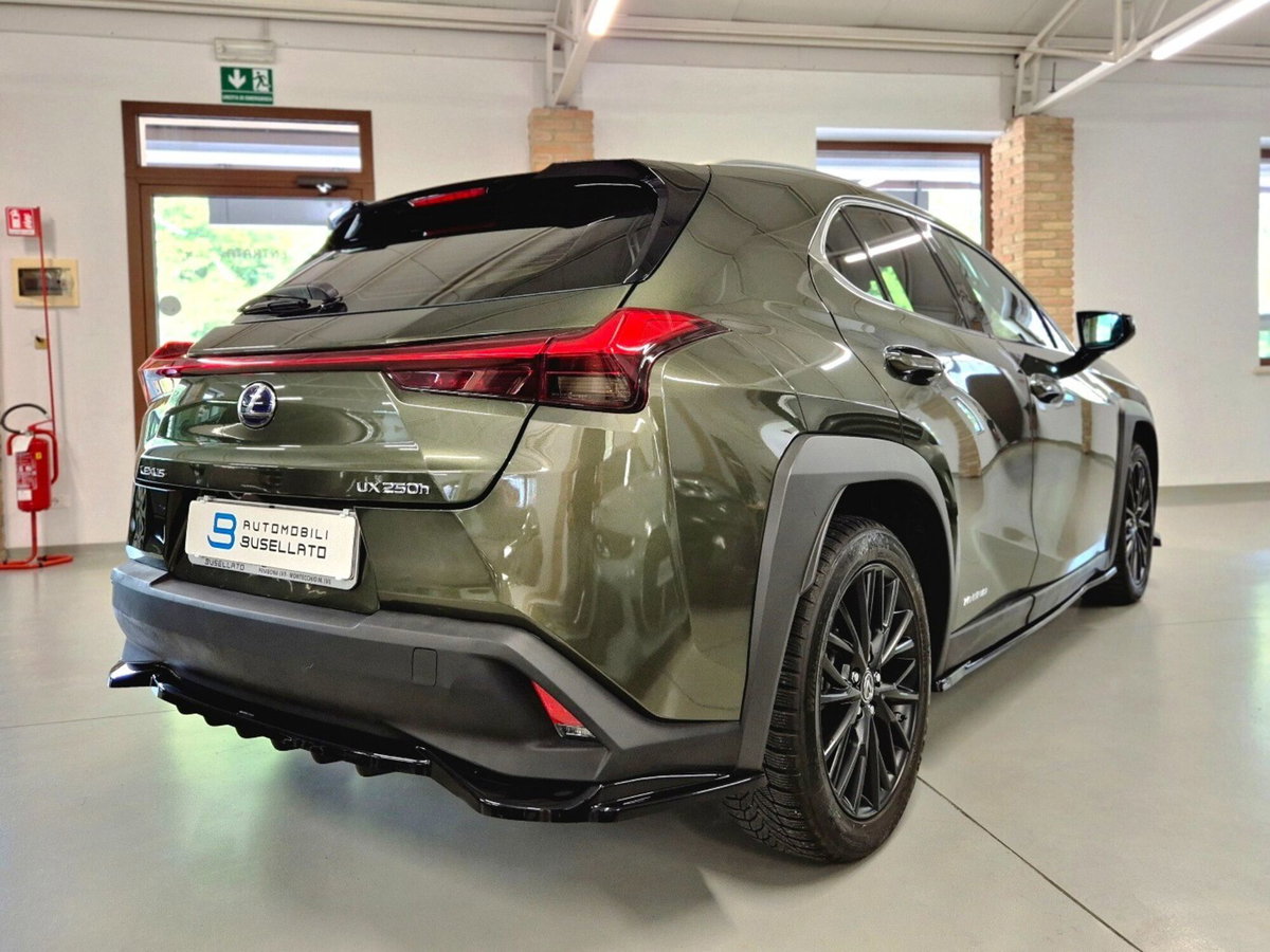 Lexus UX Hybrid Business (18)