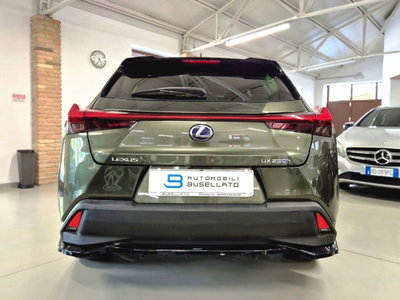 Lexus UX Hybrid Business (19)