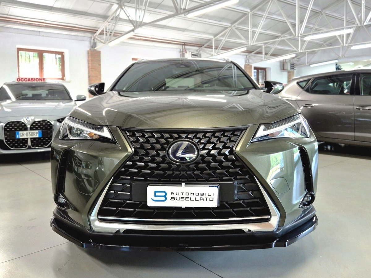 Lexus UX Hybrid Business (2)