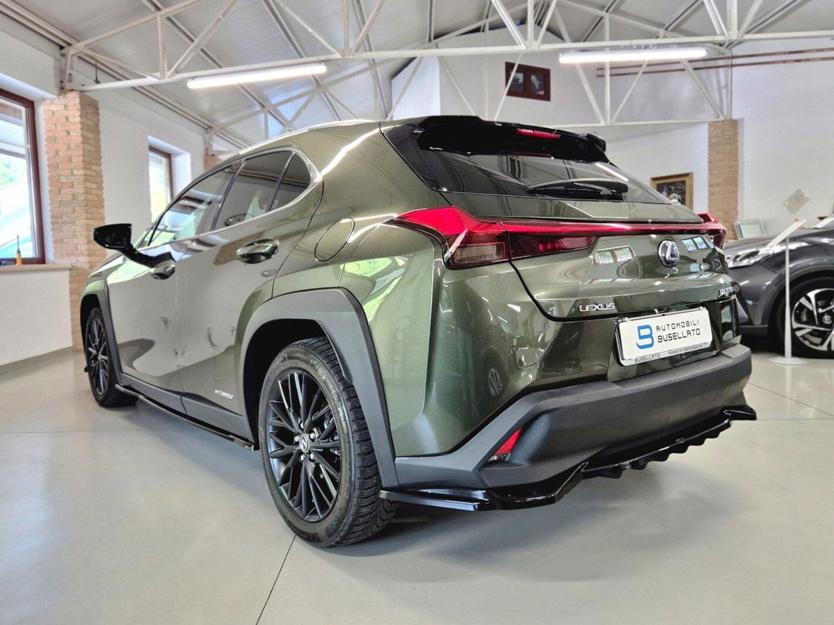 Lexus UX Hybrid Business (20)