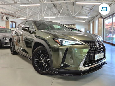 Lexus UX Hybrid Business (20)