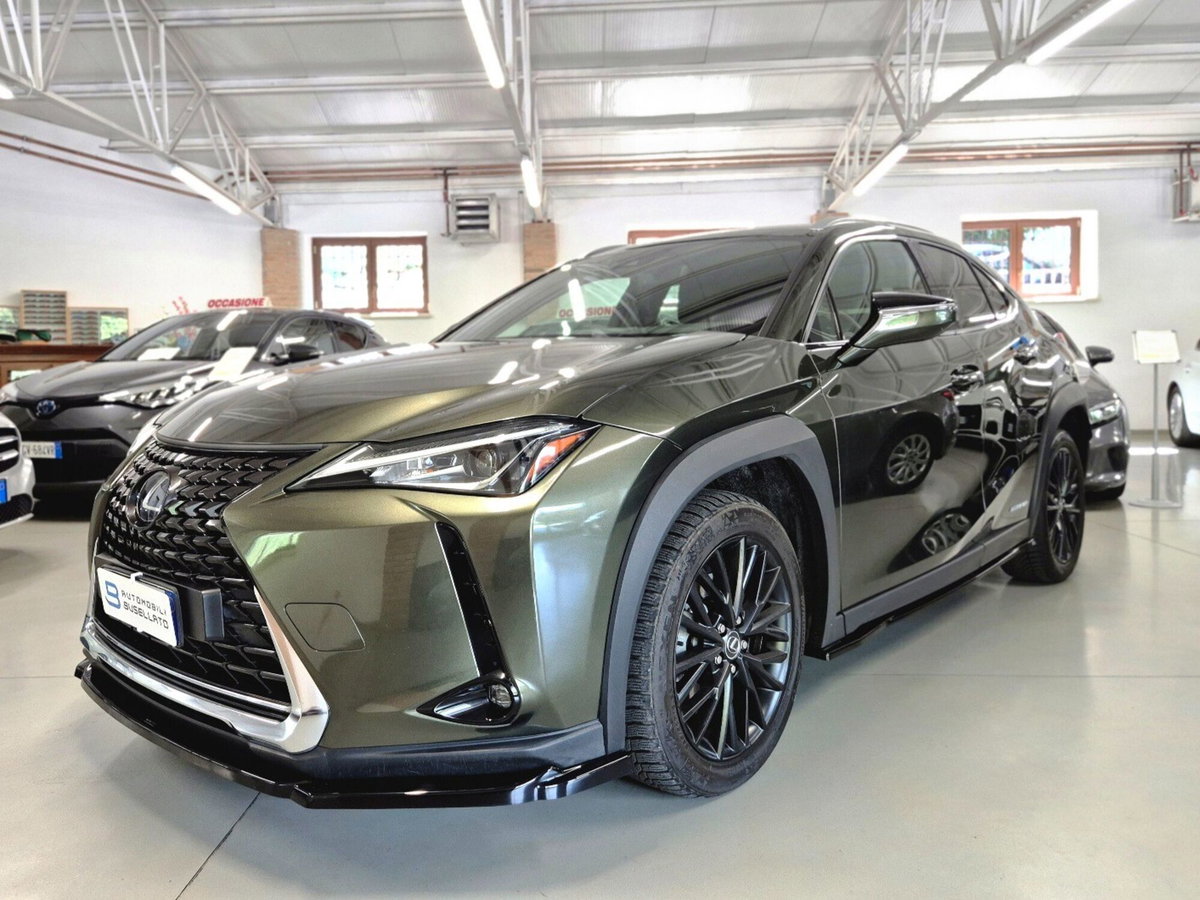 Lexus UX Hybrid Business (3)