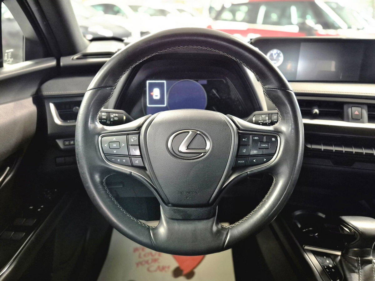 Lexus UX Hybrid Business (4)