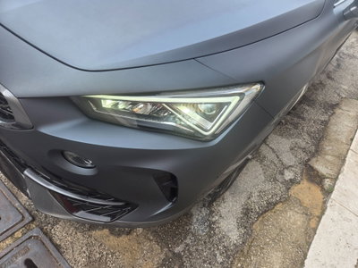Cupra Formentor Formentor 2.0 TDI (8)